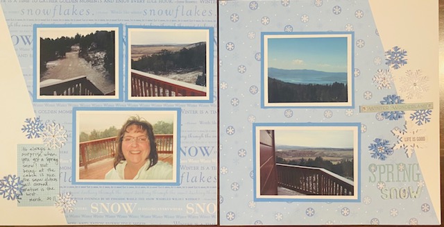 cabin Snow July 21.jpg