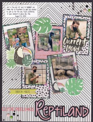 Reptiland - Garrett 
Just a few pics (of you) to highlight our family trip to Reptiland. So glad you decided to join us for the day. You’re definitely  in your element in places like this. August 15, 2020

