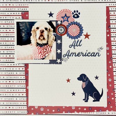 All American
My latest rescue sporting a patriotic bandana.
Keywords: 7/3 American Flag