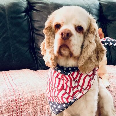 Keywords: Noel After