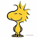 Filename=761aa2313f566bf92c68d74858e88139.jpg
Filesize=14KiB
Dimensions=403x403
Date added=Nov 09, 2020 761aa2313f566bf92c68d74858e88139.jpg