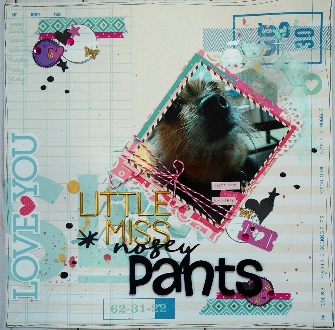 LIttle MIss Nosey Pants
Cocoa can't keep her nose out of the camera!
Keywords: dogs