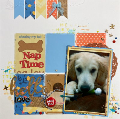 Hello love
Pics from when Archie was a pup!
Keywords: Dog