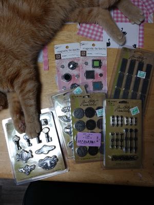 Thrift Store Haul
Ignore the kitty paws.  He can't help himself!
