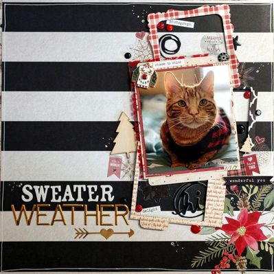 Sweater Weather
Virgil posing in his sweater.
