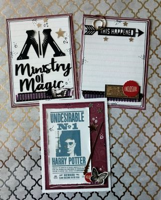 Ministry of Magic
Keywords: Harry Potter;Project Life