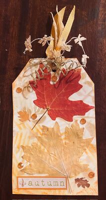 November tag challenge
