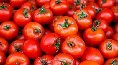 National Tomato Day
