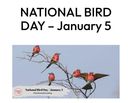Jan_5_National_Bird_Day.jpg