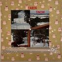 cabin_snow.jpg