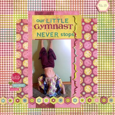 our Little Gymnast
Zoo Challenge 6-27-18
