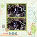 1-Roscoe.JPG