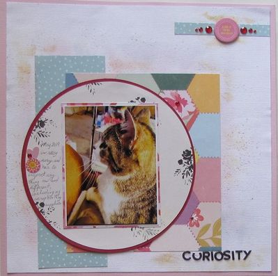 94980384_110992610595191_2942954111395430400_o
