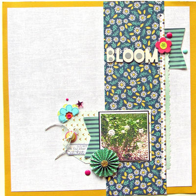 7/29 Sesame Street Challenge -- Being Green
