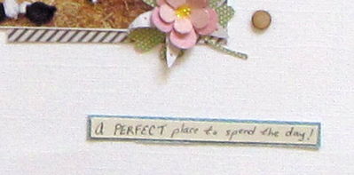 "Perfect" close up of Us Chickens
