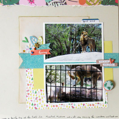 July 29 Outside challenge -- left side
