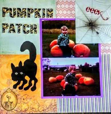 Don't eat spiders 9-28-19
