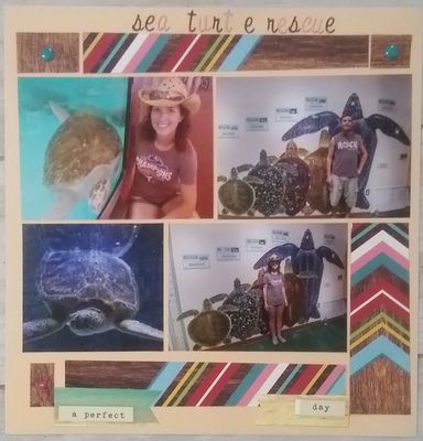sea turtle rescue
Stripes challenge
