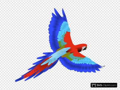 Keywords: Parrot