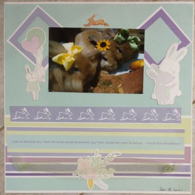 Keywords: baby bunnies