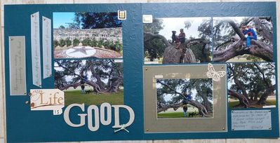 Keywords: Life is good