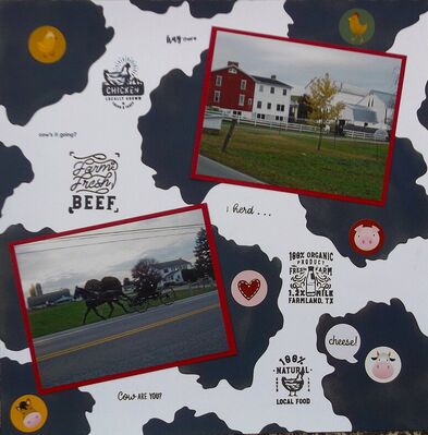 6/6 - Black & White Challenge
