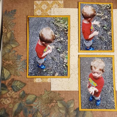 Learning about Caterpillars part 2
I generally do layouts in two pages.  I loved all the outdoorsy colors in the layers.
