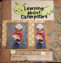 Learning_about_Caterpillars_part_1b_.jpg