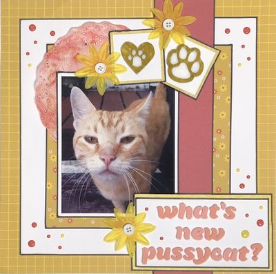 What's New Pussycat?
