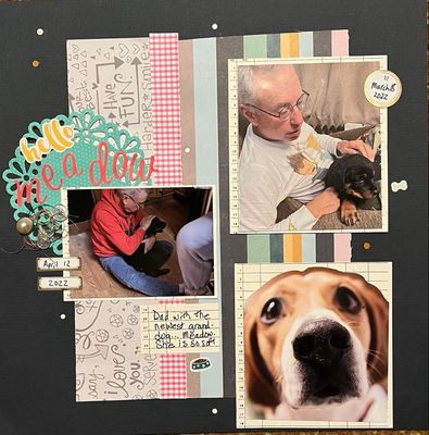 Hello Meadow
July 29  The love of animals
Keywords: doily;thread;dog;buttons;confetti