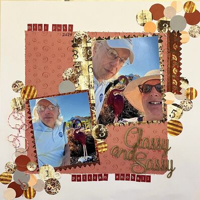 Classy and Sassy
March 21, 2025
Keywords: circles&#039;tiny alphas;string;buttons;pp