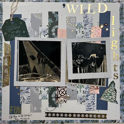 Wild Lights FUN
March 14 Party Challenge
Keywords: paper strips;tag;stickers;gems;buttons;frames;winter;ribbon;staple;washi tape;ink splatters