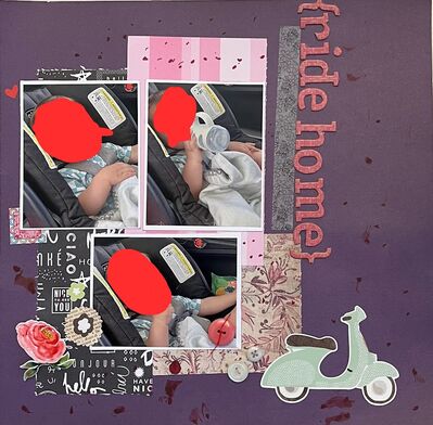 ride home
Mon 2/3: Sketch & 3 Little Pigs
Keywords: flowers;heart;pp;buttons;ink splatters;stickers;chipboard alphas