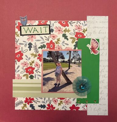 Wait
Jan 7 challenge grandma
Keywords: grandma (me);butterfly;owl;flower paper;gems