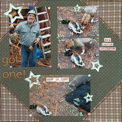 I Got One
My husband was so happy when he got his first duck on the first hunt after we moved back up here.  The dog found the smell interesting but the cat was NOT impressed.  
Keywords: Hunting;Duck;Animal;Bird;Dog;Cat;Masculine;Stitching;Outdoors