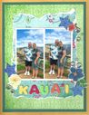 Kauai.jpg