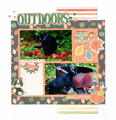 Outdoors - February 14th Challenge
Photos of sweet granddaughter Kaylee's kitty Ebony. She's an
indoor cat, but lately she's been loving exploring outside a bit. 
Keywords: Cocoa Vanilla