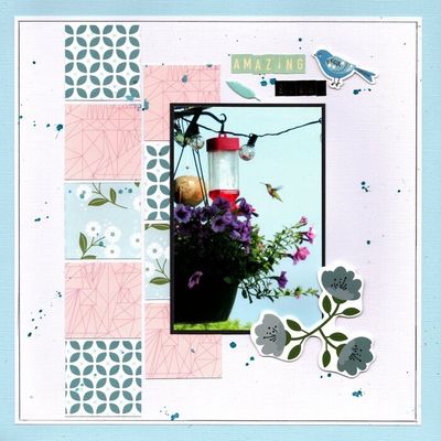 Amazing Sight - October 17th Challenge
Photo of a little hummingbird at our feeders, June 2021.
Keywords: Pinkfresh Studio