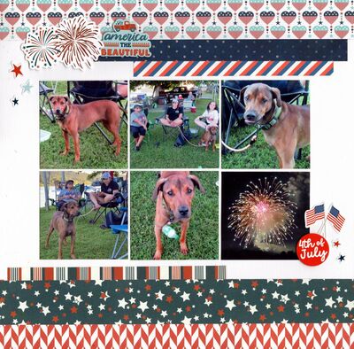 America the Beautiful - November 29th Challenge
Photos of sweet granddaughter Kaylee's doggie Ridge on the 4th of July 2025.

Keywords: Echo Park