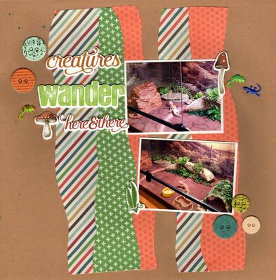 Creatures Wander Here & There - July 23rd Challenge
Photos of DH Brad's Gecko Stoney, March 2024. 

Keywords: Echo Park