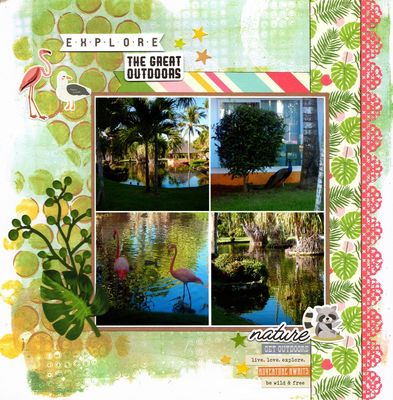 Explore the Great Outdoors - June 22nd Challenge
Photos of some of the nature at Punta Cana, Dominican Republic. (November 2021)
Keywords: American Crafts