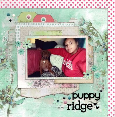 Puppy Ridge - July 30th Challenge
Photo of sweet granddaughter Makaylee with her puppy Ridge, June 2024.

Keywords: 49 & Market
