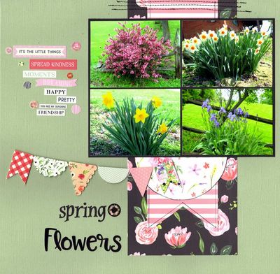 Spring Flowers - September 15th Challenge
Photos of some of my spring flowers, May 2021. 
Keywords: Carta Bella