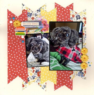 The Little Things - April 14th Challenge
Photos of granddaughter Lucy's sweet doggie Pixie, March 2025.

Keywords: Simple Stories