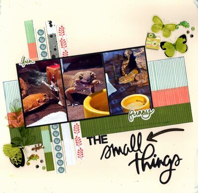 The Small Things - August 5th Challenge
Photos of DH's gecko Stoney, May 2024.
Keywords: American Crafts