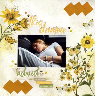 This Dreamer - February 7th Challenge
Photo of sweet granddaughter Lucy fast asleep after a basketball tournament weekend, May 2024.
Keywords: 49 & Market