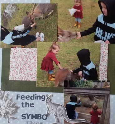 Feeding the Kangaroos 
15th "Where you will find me" Red, White And Blue
