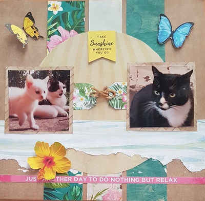 23 September 2023 Survivor - An Island surrounded by sand
