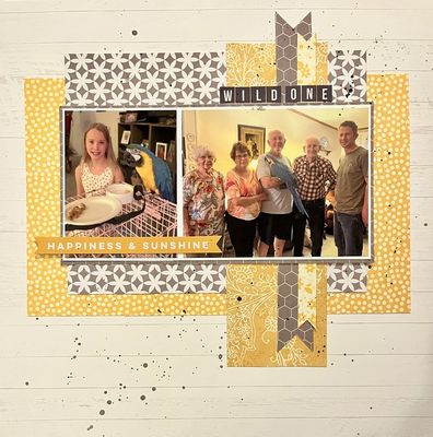 Wild One - Feb 8 Challenge 
Creature - bird; repeat pattern circles on the patterned paper and paint splatters
