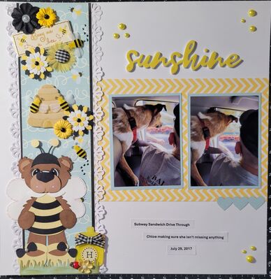 June 12th Bee Challenge
